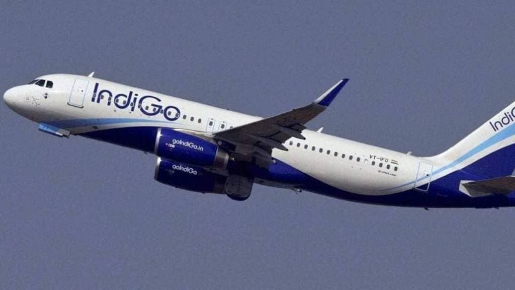 indigo