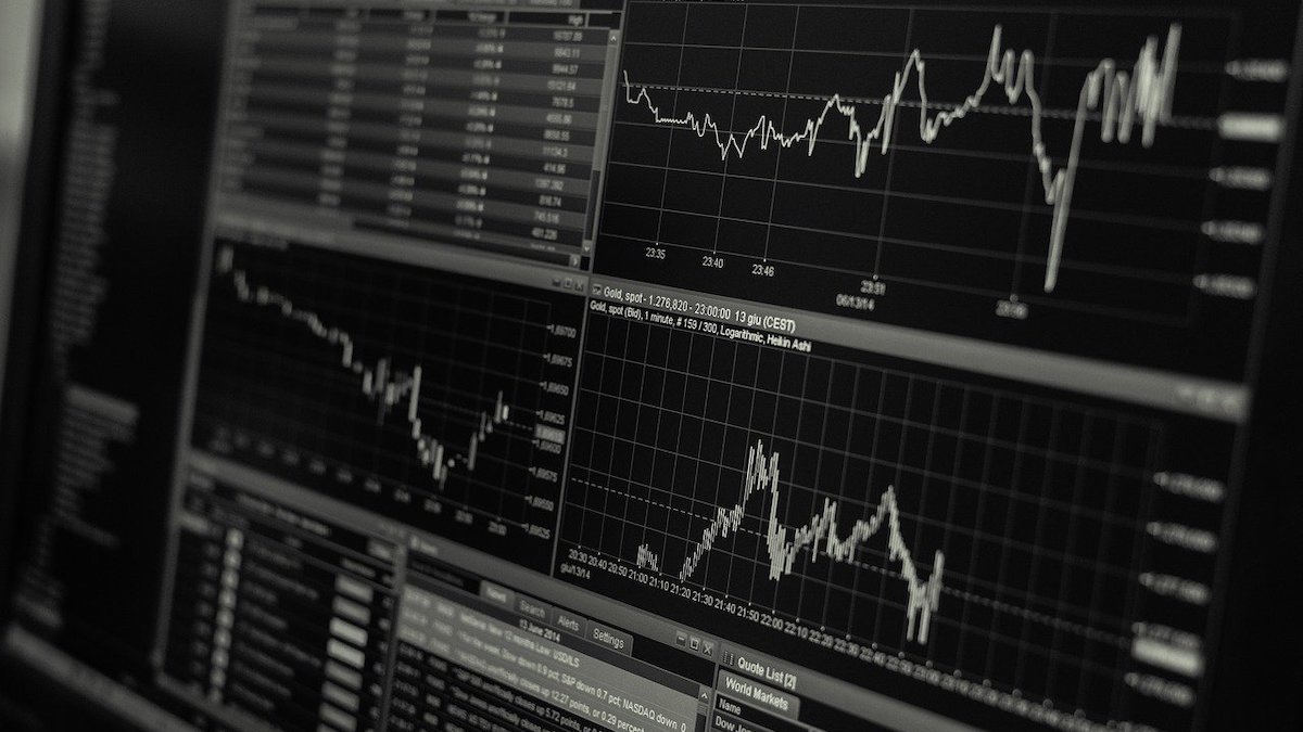 favourite stocks of AMCs