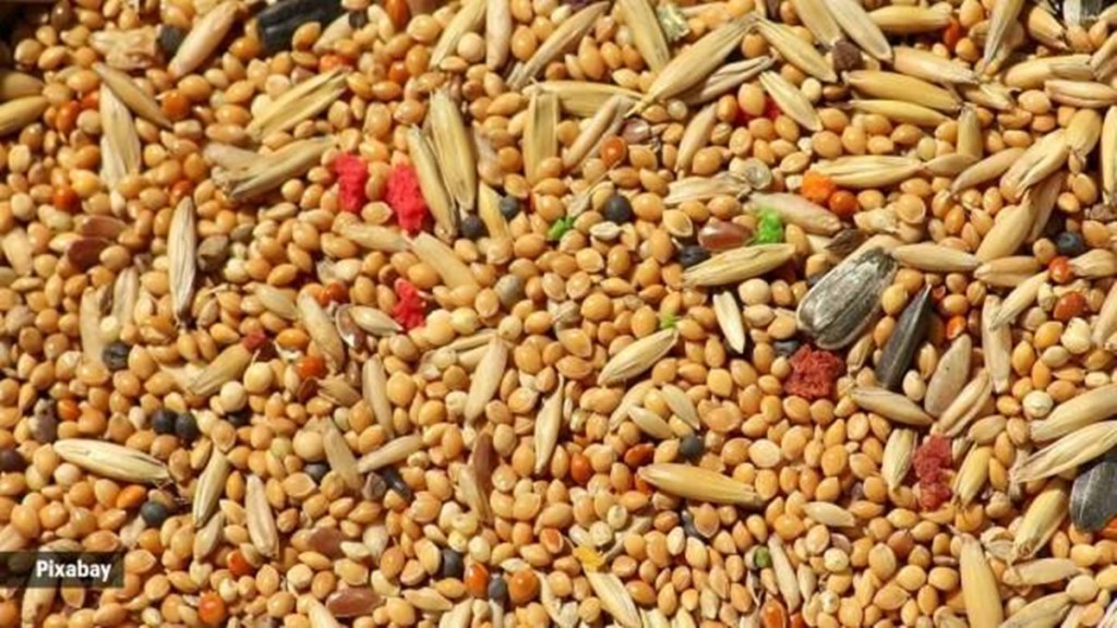 millets, India