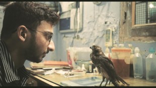 entertainment, entertainment news