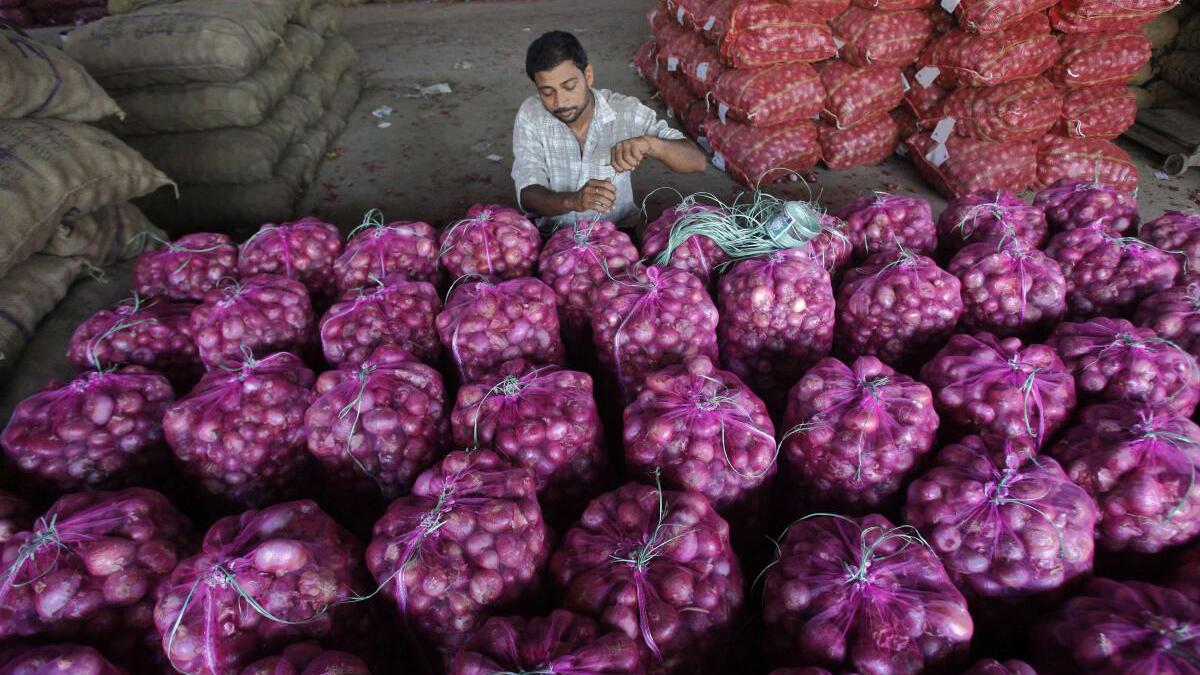 onion onion