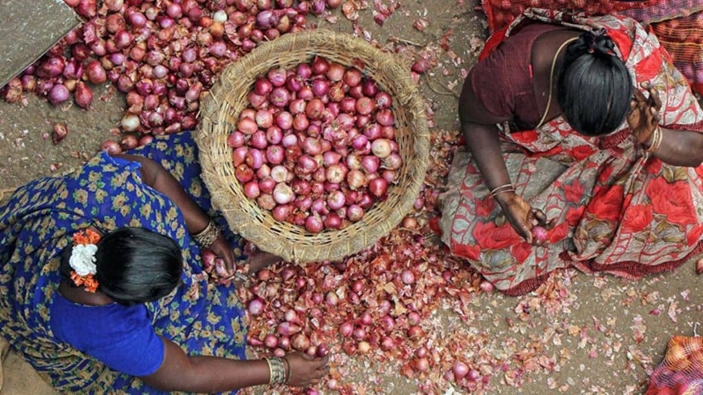 The modal retail prices of onion as per the Department of Consumer Affairs on Tuesday was Rs 20/kg The modal retail prices of onion as per the Department of Consumer Affairs on Tuesday was Rs 20/kg