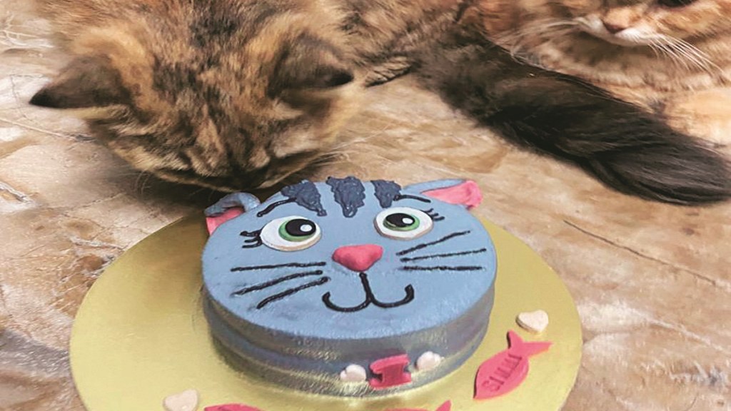 per food, lifestyle news