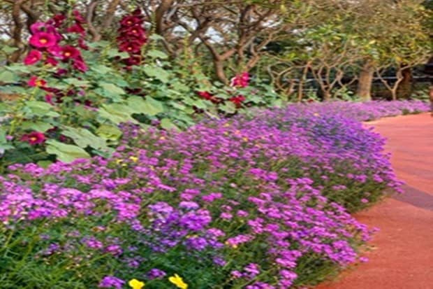 Walking through Nehru Park, visitors feel close to nature. (Photo: Jasem Al Najem, Ambassador of Kuwait to India)