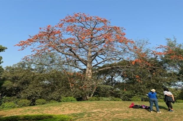 The grandiose of Nehru Park is captured by visitors. (Photo: Jasem Al Najem, Ambassador of Kuwait to India)