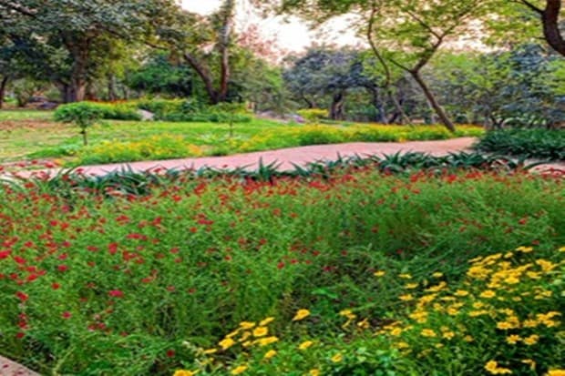 Visitors get enthralled to find the scenic beauty of Nehru Park. (Photo: Jasem Al Najem, Ambassador of Kuwait to India)