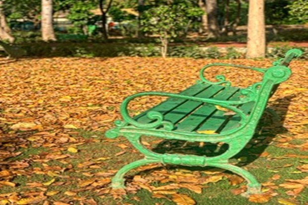 On the bench, somber autumn leaves are seen resting calmly. (Photo: Jasem Al Najem, Ambassador of Kuwait to India)