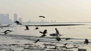 seawater desalination project