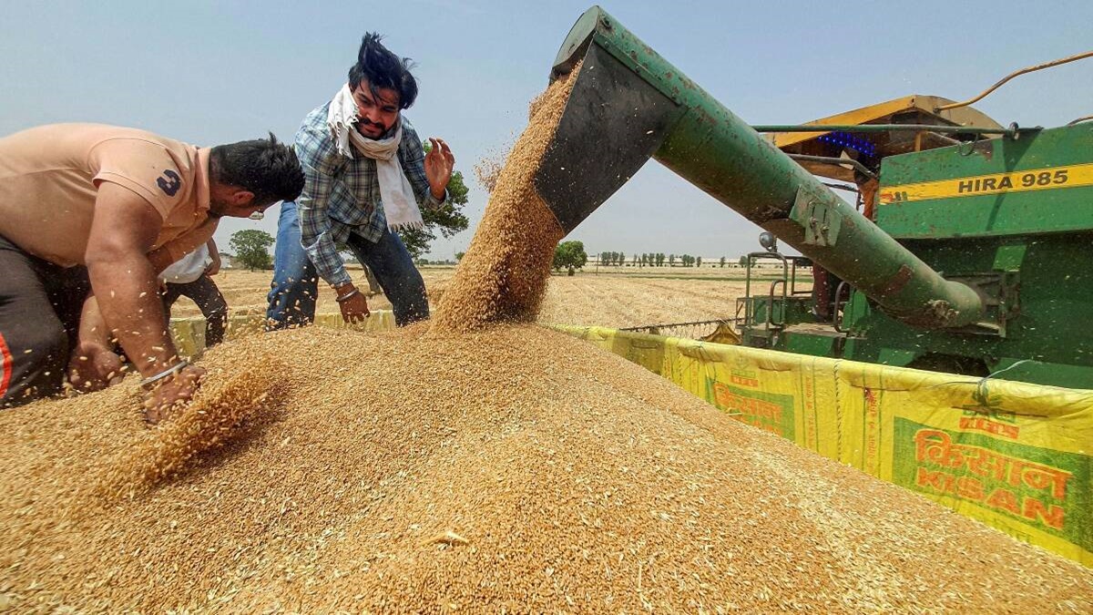 wheat crop, economy wheat crop, economy