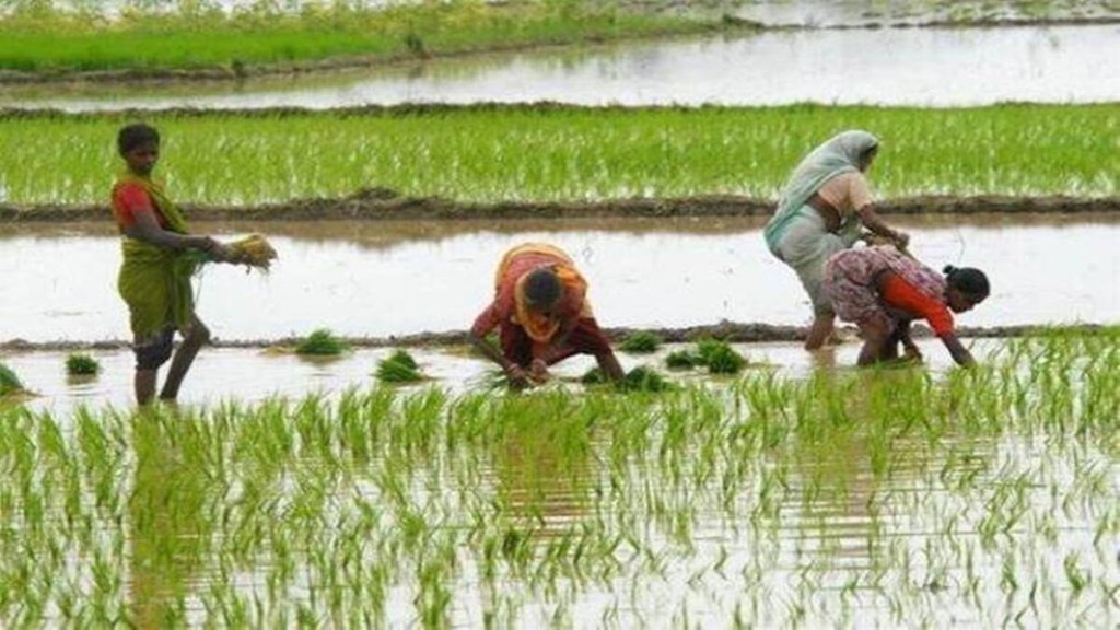 monsoon in india, normal monsoon, deficient monsoon, crops, indian agriculture,