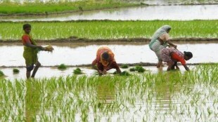 monsoon in india, normal monsoon, deficient monsoon, crops, indian agriculture,