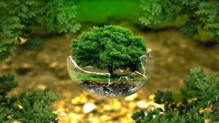 climate change, global warming, earth day, world earth day, world earth day 2023,