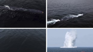 North Korea, North Korea nuclear drone, North Korea underwater nuclear drone,