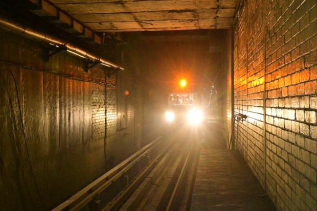 A total of two rakes - MR-612 and MR-613 has witnessed this historic event. (Image: Kolkata Metro)