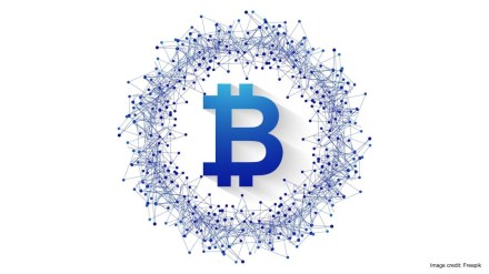 Experts believe that the white paper was never meant to be seen by end users Experts believe that the white paper was never meant to be seen by end users