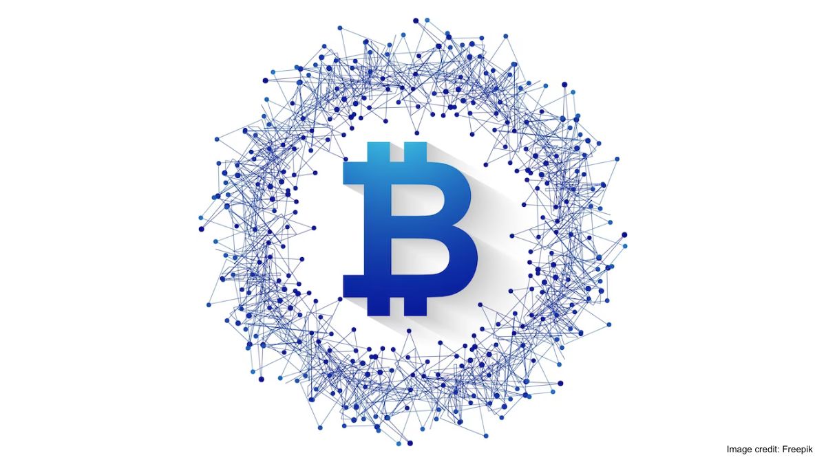 Experts believe that the white paper was never meant to be seen by end users Experts believe that the white paper was never meant to be seen by end users
