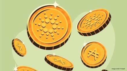 Going by sources, Do Kwon is the CEO of Terraform Labs Going by sources, Do Kwon is the CEO of Terraform Labs