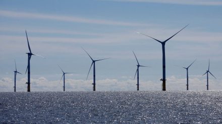 green economy