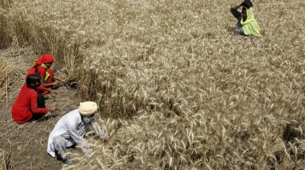 El Nino, monsoon, economy, livelihoods, crop output, exports, diesel subsidies, agriculture, power supply