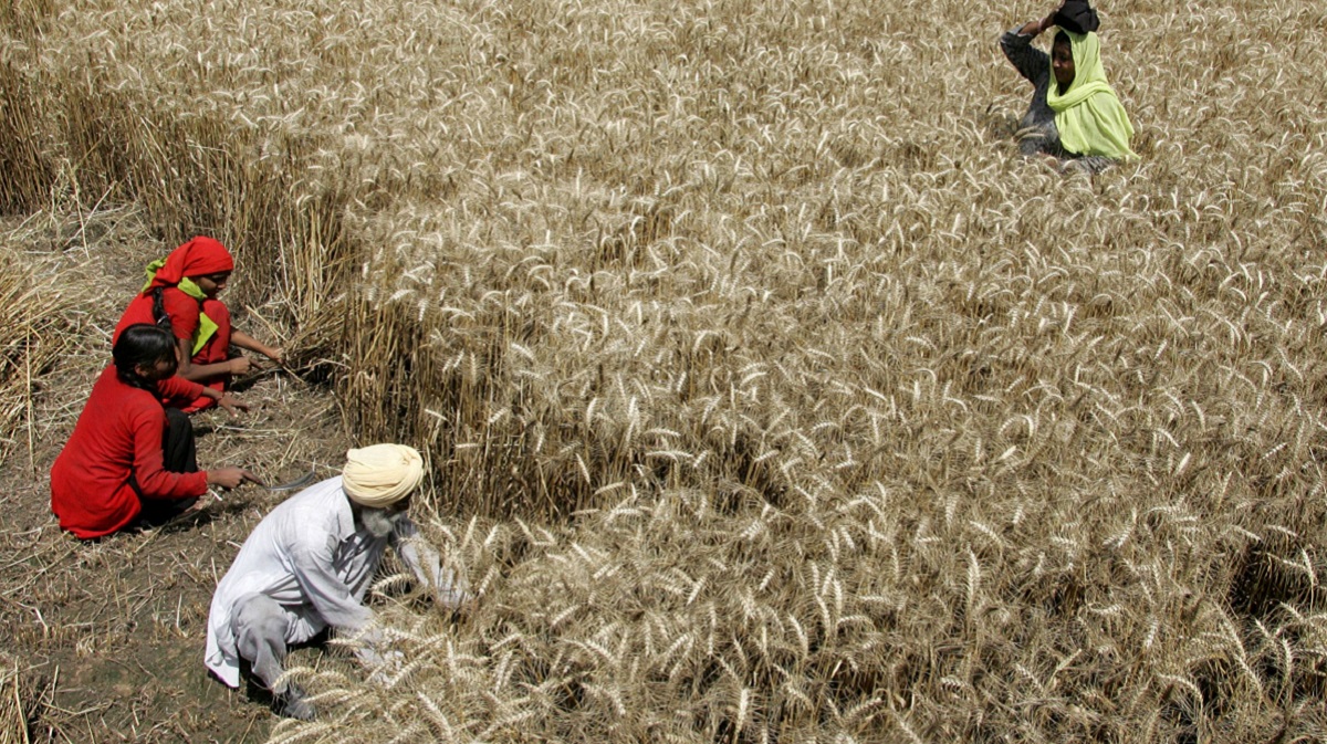 El Nino, monsoon, economy, livelihoods, crop output, exports, diesel subsidies, agriculture, power supply El Nino, monsoon, economy, livelihoods, crop output, exports, diesel subsidies, agriculture, power supply