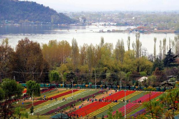 Srinagar: Tourists and locals visit Asia's largest Tulip Garden, in full bloom, at the foothills of Zabarwan Mountains overlooking Dal Lake in Srinagar, Thursday, March 30, 2023. (PTI Photo/S. Irfan) 