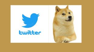 As per reports,Dogecoin rose to as high as 10.2 cents from around 7.7 cents after the change.