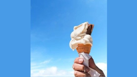 The category, which is estimated to be Rs 25,000 crore (including frozen desserts), hopes to see a 20% growth in sales this summer, as per KPMG.