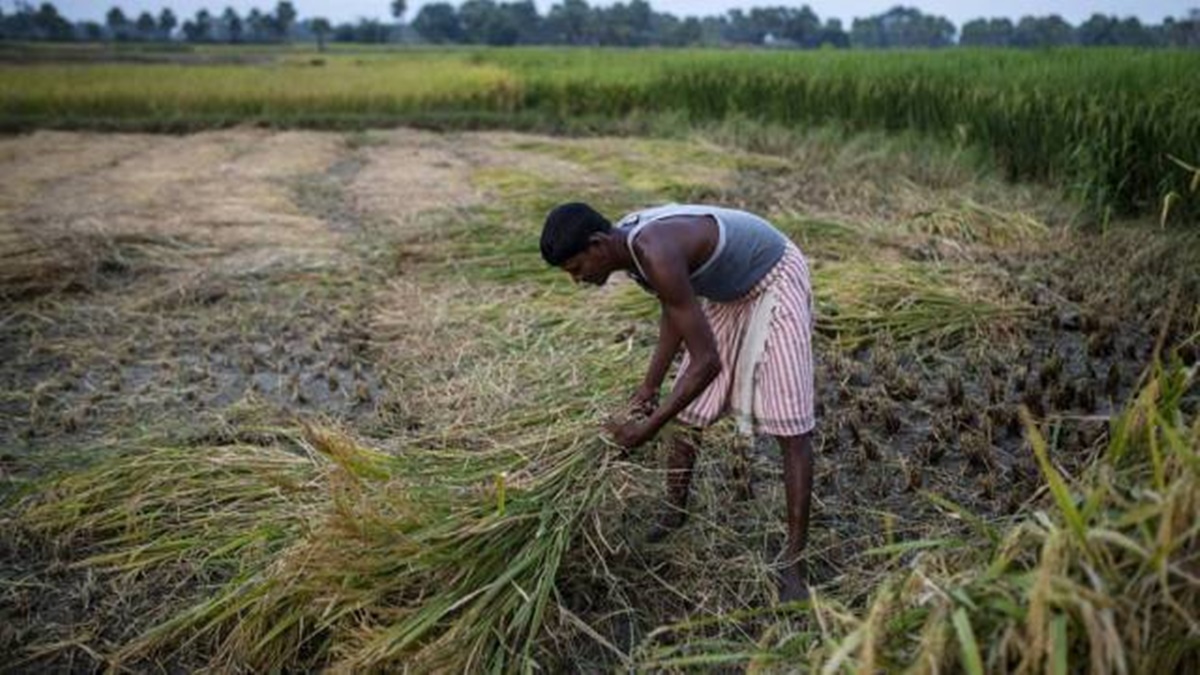 agriculture, economy agriculture, economy