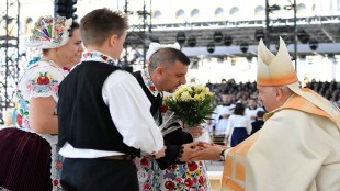 pope francis, hungary