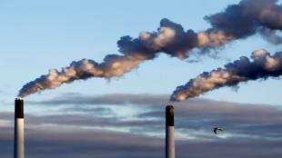 carbon tax