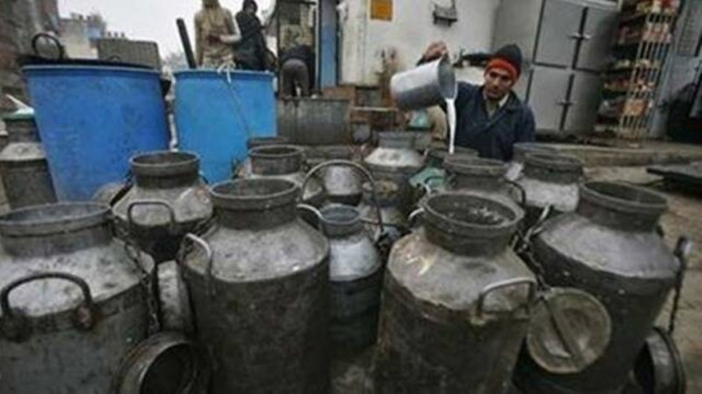 dairy products, economy