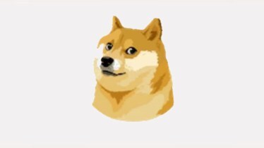 Elon Musk changes Twitter bird logo to doge, ‘as promised’: Know reason why