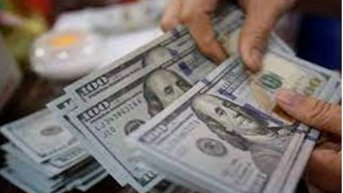 forex reserves, economy