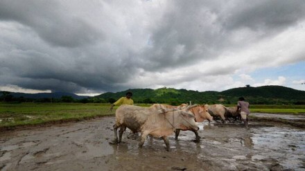 el nino, economy