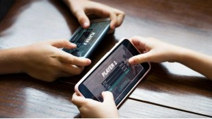fantasy sports, IPL