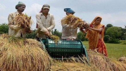 Farmers, Income, Labour, MGNREGA, Agriculture, Farmers Income, Economy Farmers, Income, Labour, MGNREGA, Agriculture, Farmers Income, Economy