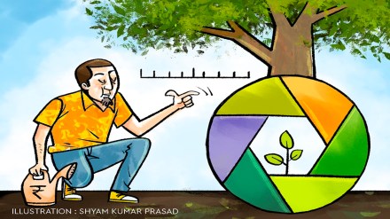 equity funds, stocks