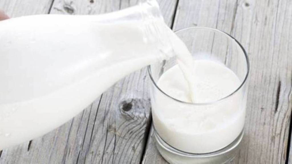 india dairy product
