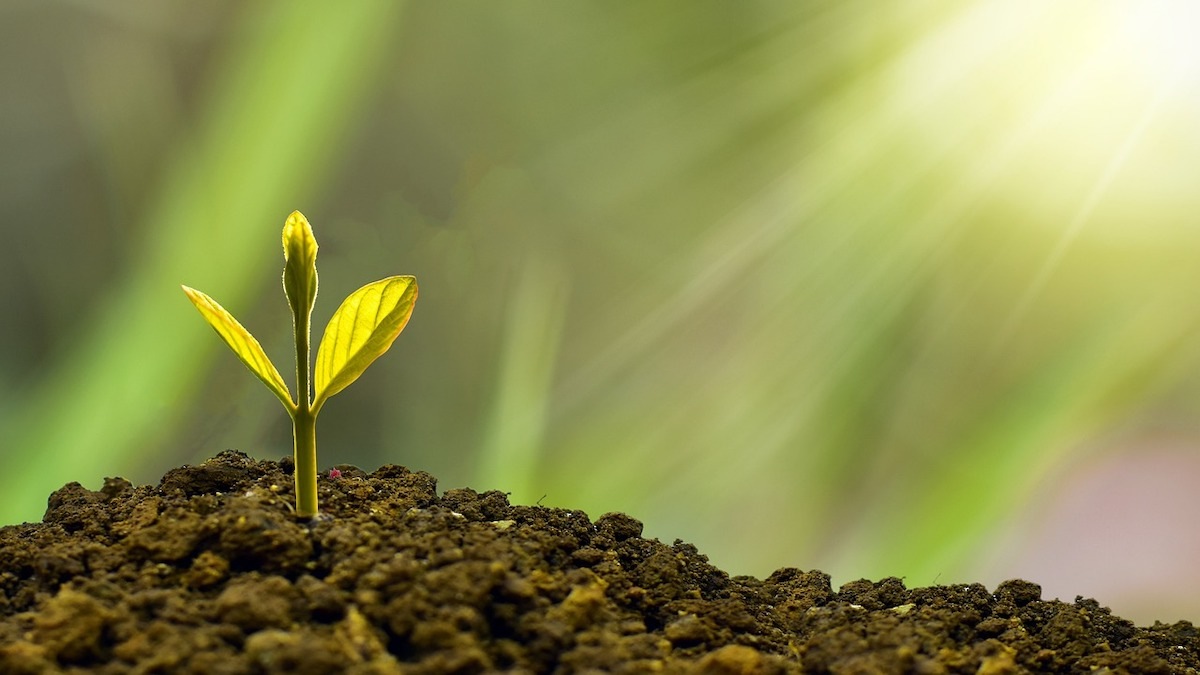 why you should invest in PPF