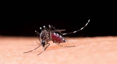 healthcare revolution, health news, pharma news,