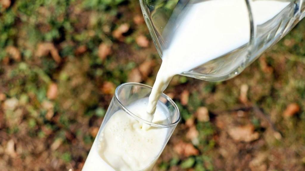 milk