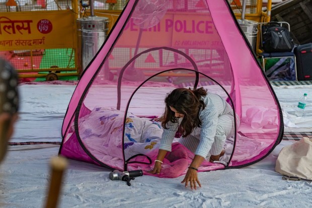 Wrestler Vinesh Phogat rests under a mosquito net following a night stay at Jantar Mantar amid a protest in New Delhi on Thursday. (Photo: PTI)