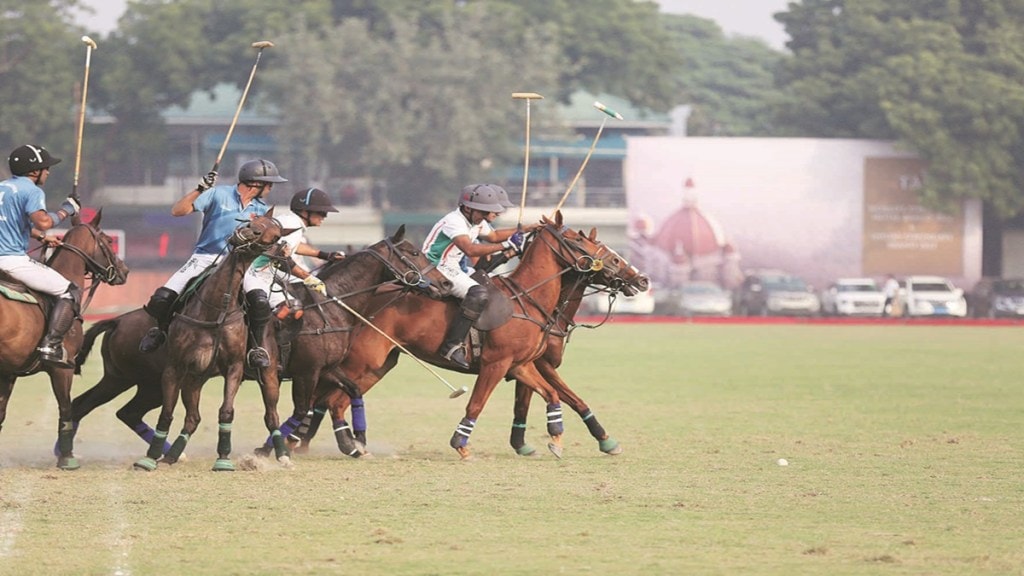 Polo, sports