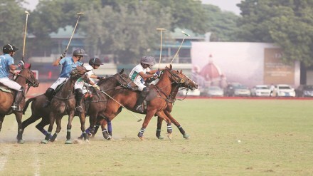 Polo, sports