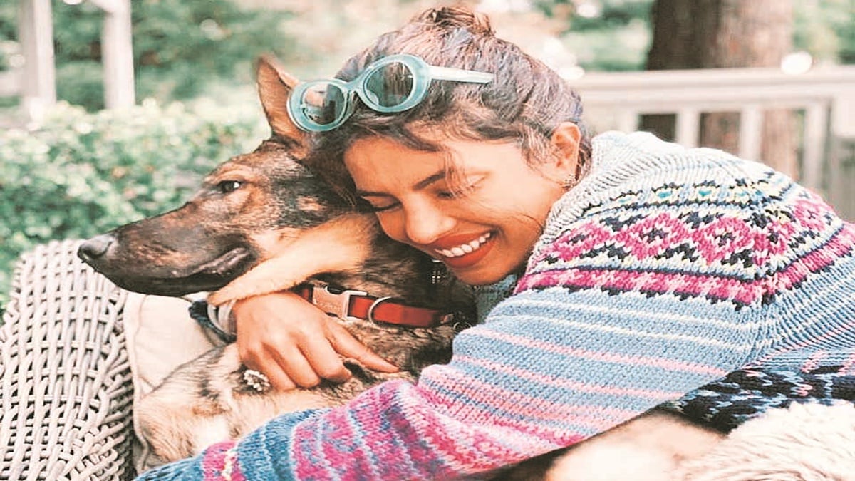 lifestyle, lifestyle news