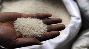 rice, rice exports