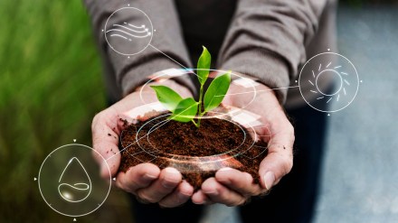 sustainability, ESG, climate change, energy consumption, G20 presidency, greenhouse gas emission, financial support, climate action, TERI, institutional capacity, investment
