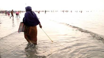women role in blue economy women role in blue economy