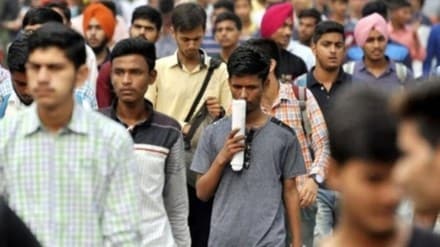 job, job sector