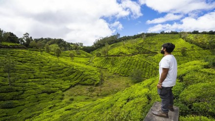 biosphere, biosphere reserves, nature, life, coexistence, culture, cultural values, conservation, cultural values